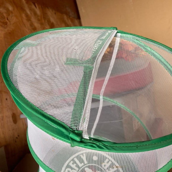 Kids Backyard Exploration Kit - Picture 6 of 9